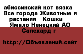 абиссинский кот вязка - Все города Животные и растения » Кошки   . Ямало-Ненецкий АО,Салехард г.